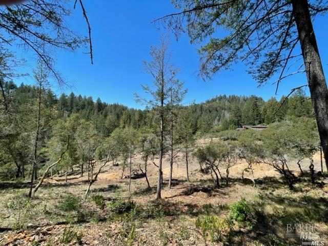 5070 Gates Road Santa Rosa, CA 95404 - Photo 8 of 19