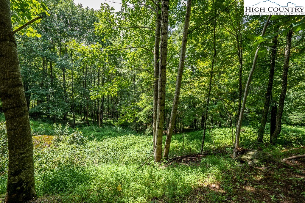 Rhododendron Boone, NC 28607 - Photo 4 of 12 Gallery Image 4