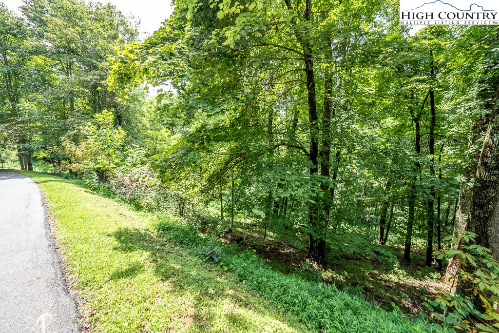 Rhododendron Boone, NC 28607 - Photo 5 of 12 Gallery Image 5