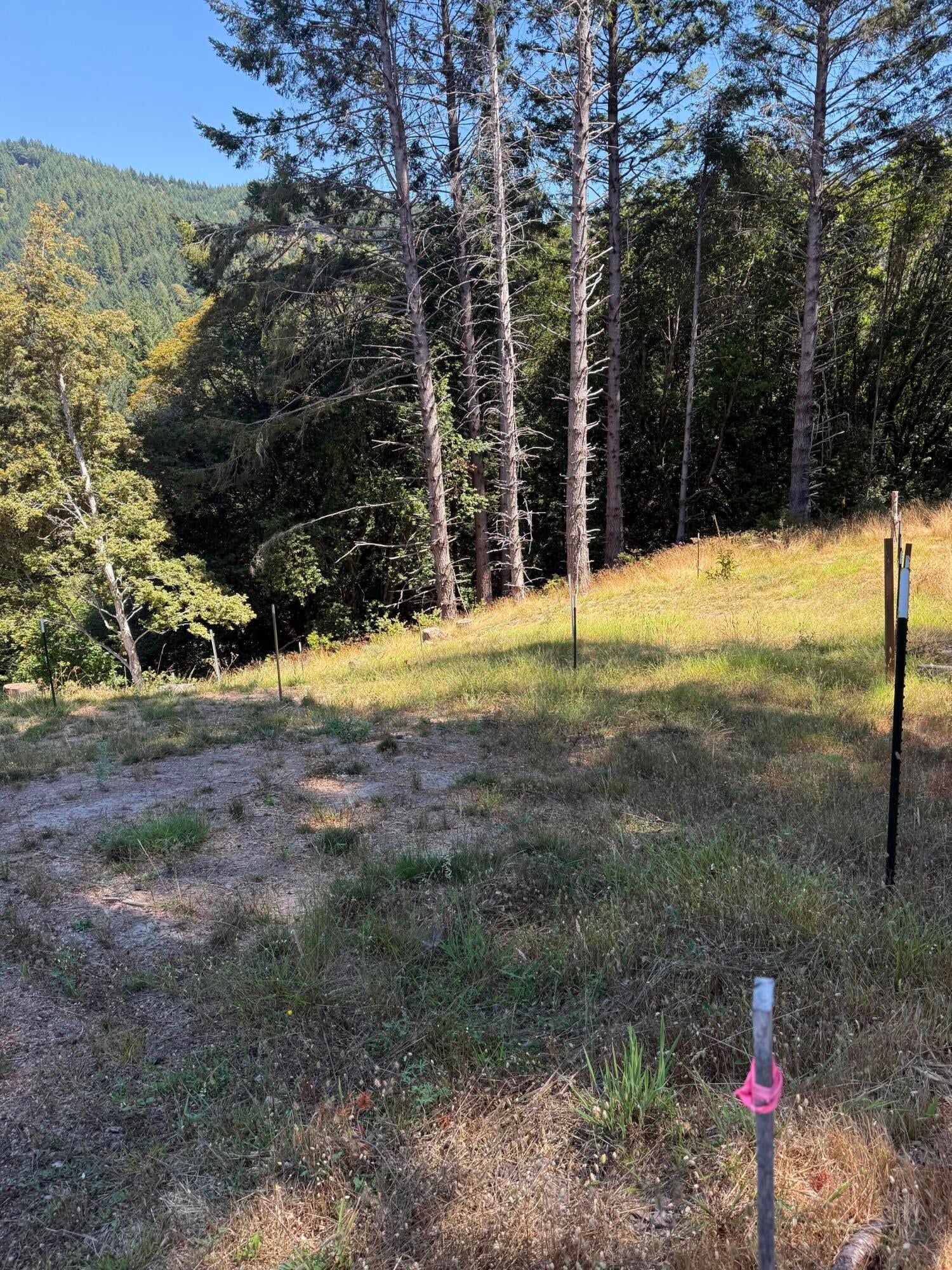 197-207 Ridge Road Shelter Cove, CA 95589 - Photo 3 of 8 Gallery Image 3