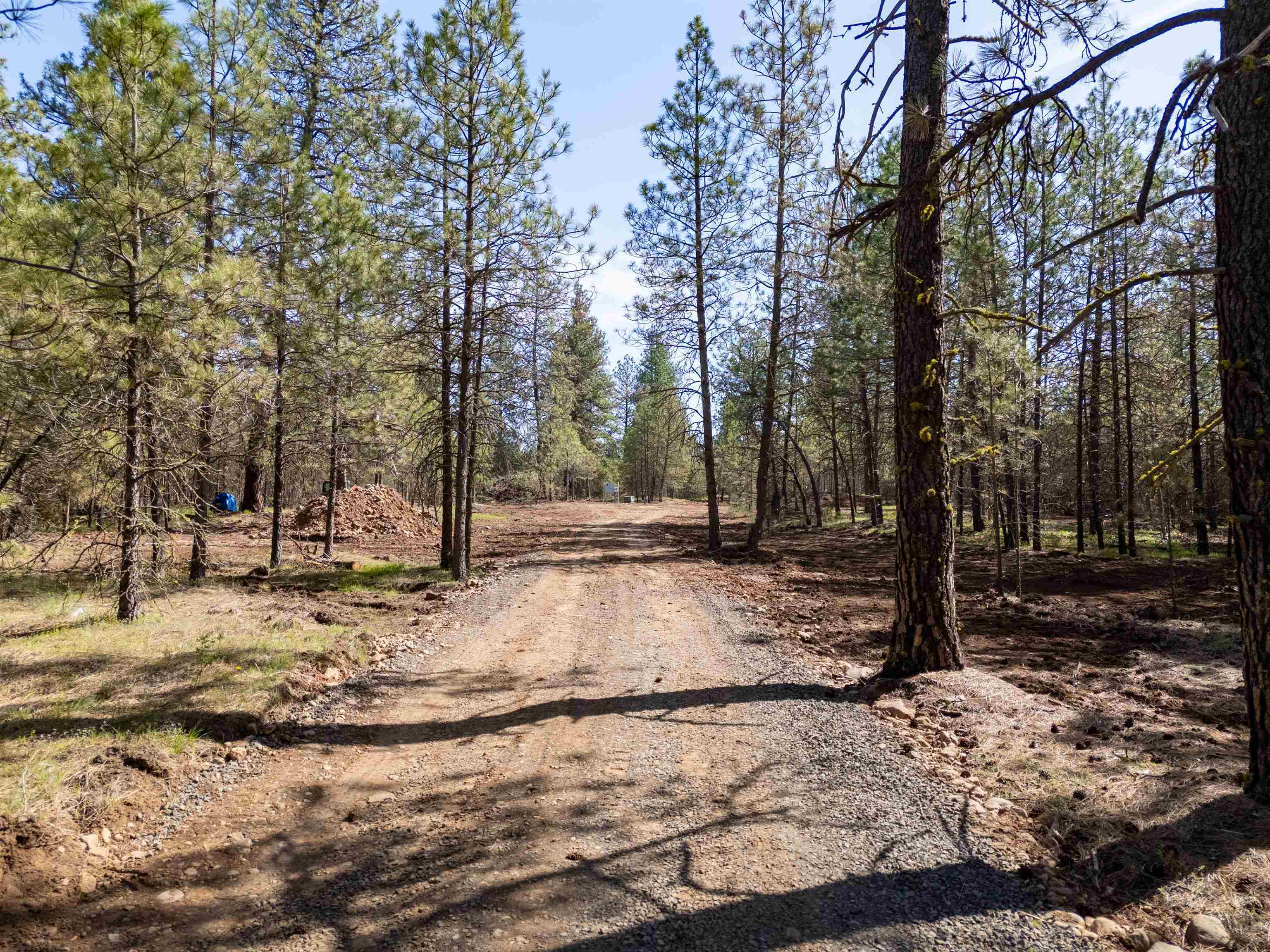 14725 South Stangland Road Cheney, WA 99004 - Photo 10 of 31