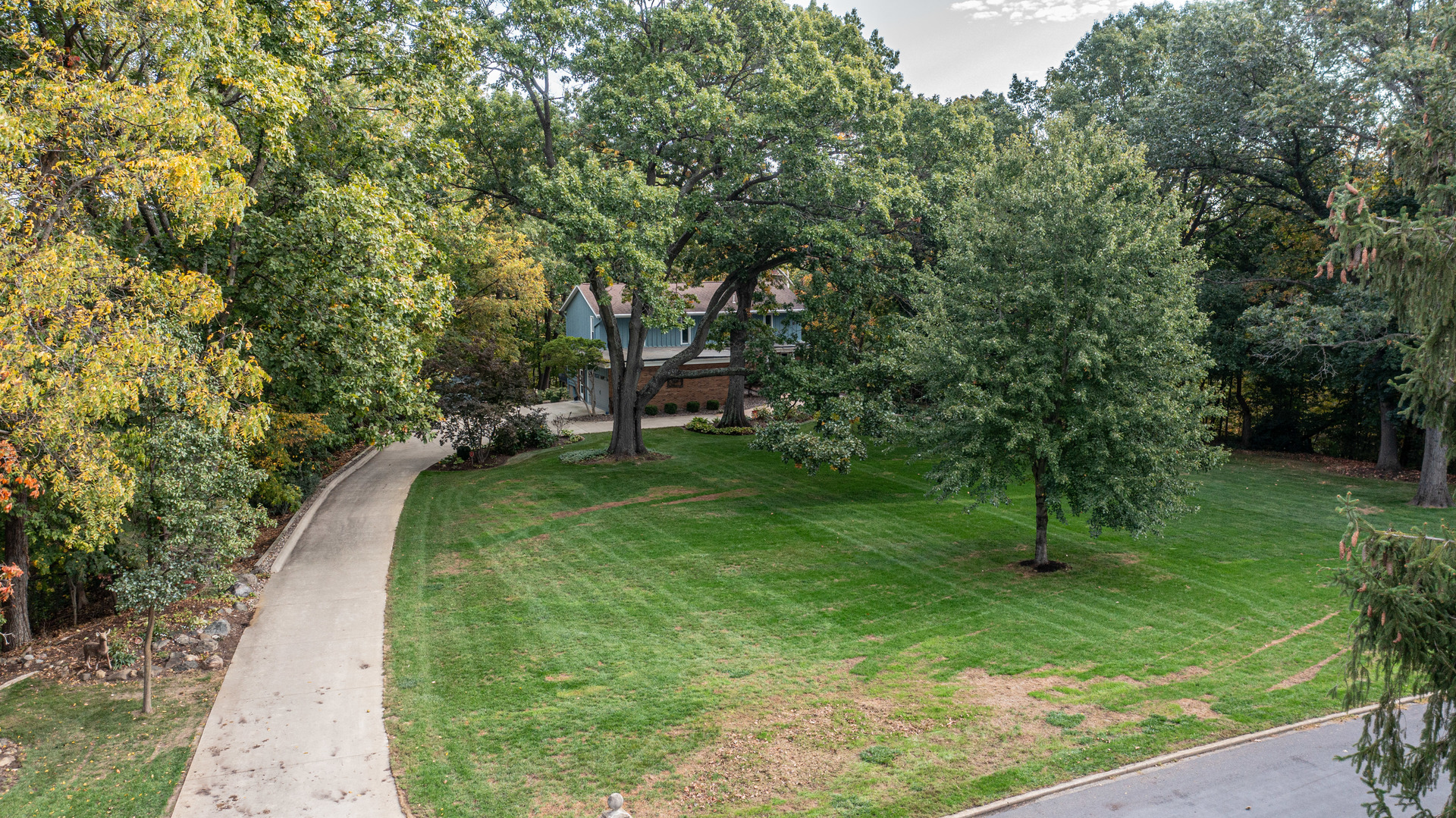 2555 Ridgefield Road Princeton, IL 61356 - Photo 2 of 50 a view of a park with a tree