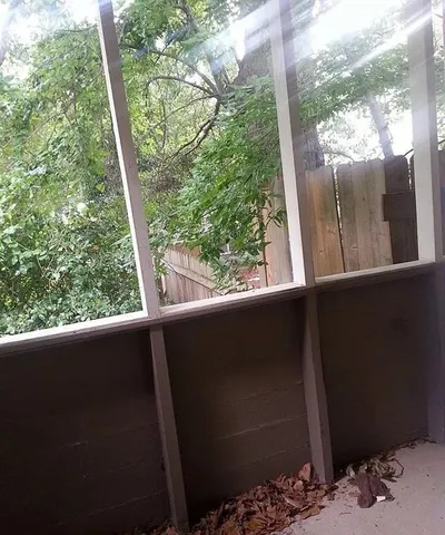 a view of backyard from a window