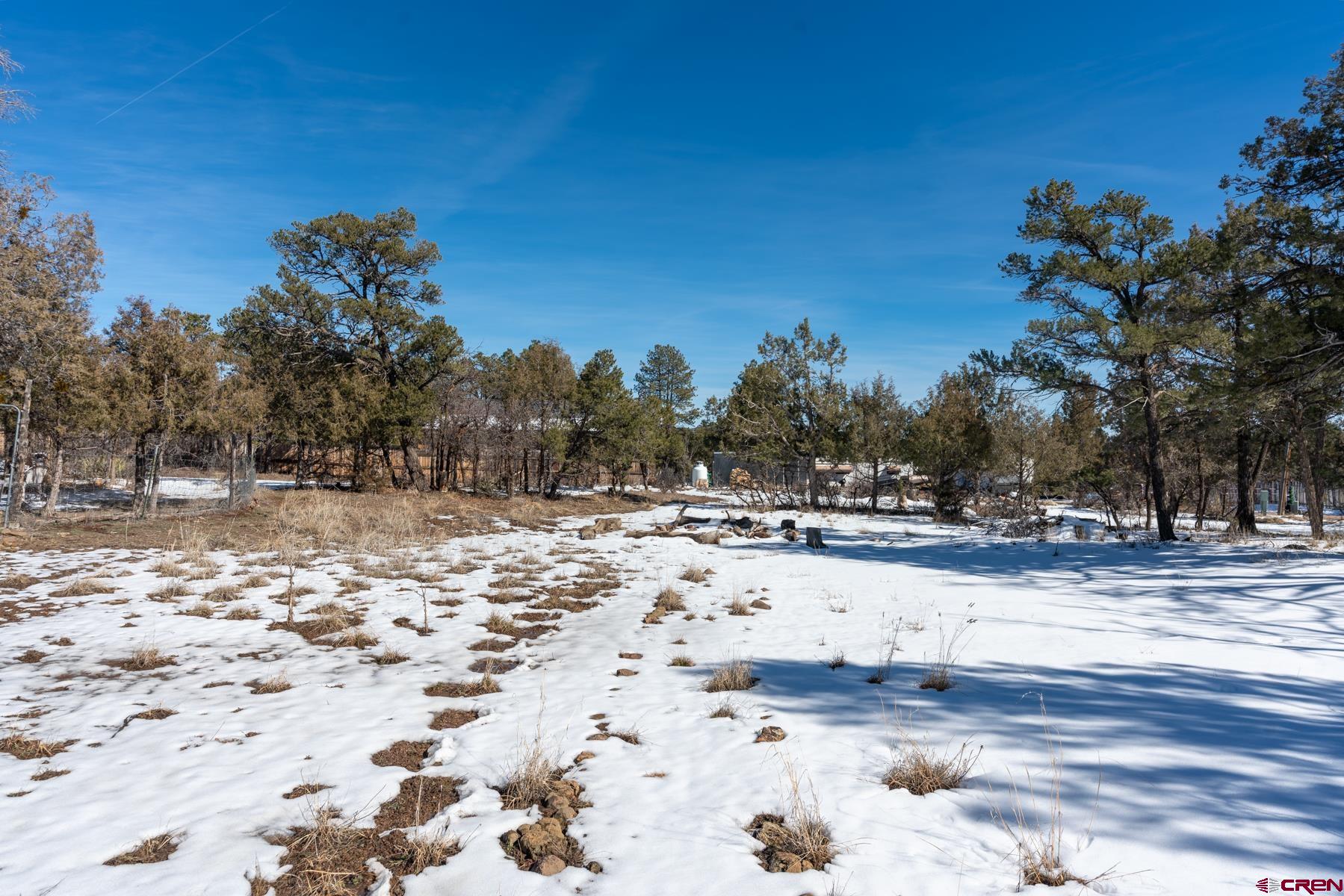 190 Pine Ridge Road Durango, CO 81301 - Photo 21 of 27 a view of a yard covered in snow