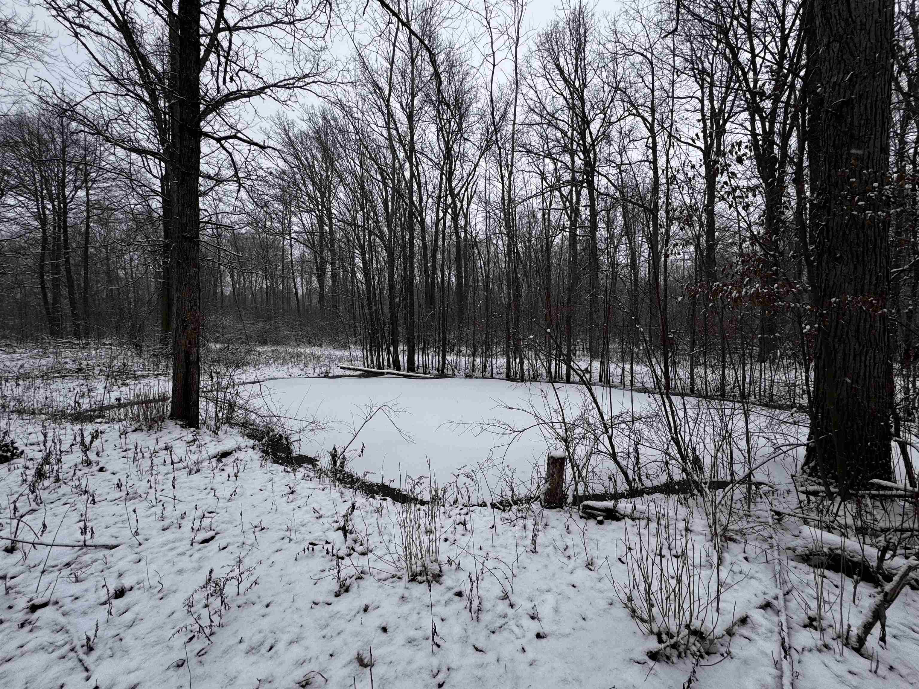 9248 Morrish Road Montrose, MI 48457 - Photo 25 of 29 50163897-723bdcf9-b9c4-4a62-b391-6248a33360fe.JPG