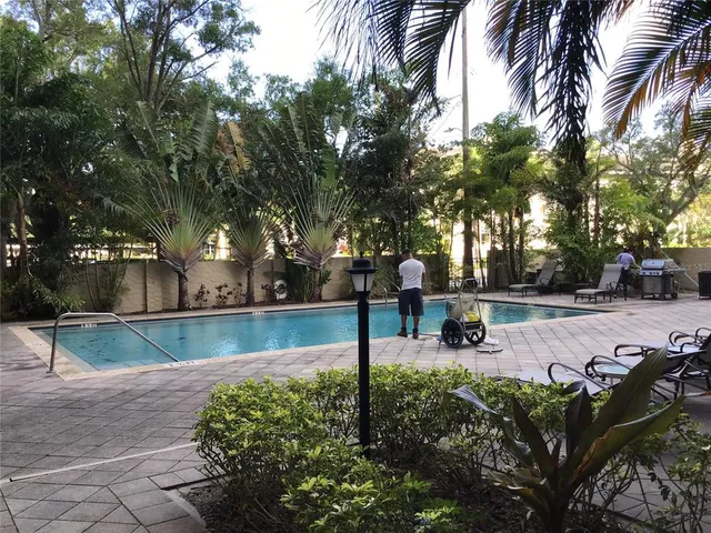 a view of a park with tree s