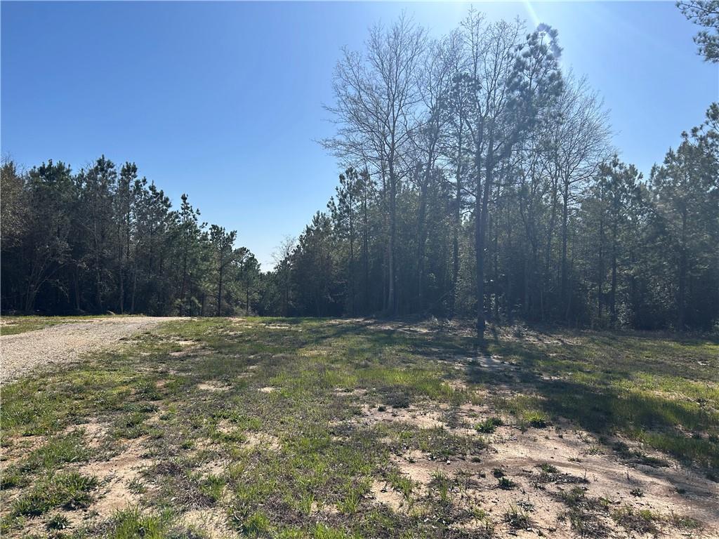 32066 Tom Warner Road Franklinton, LA 70438 - Photo 11 of 21 Gallery Image 11