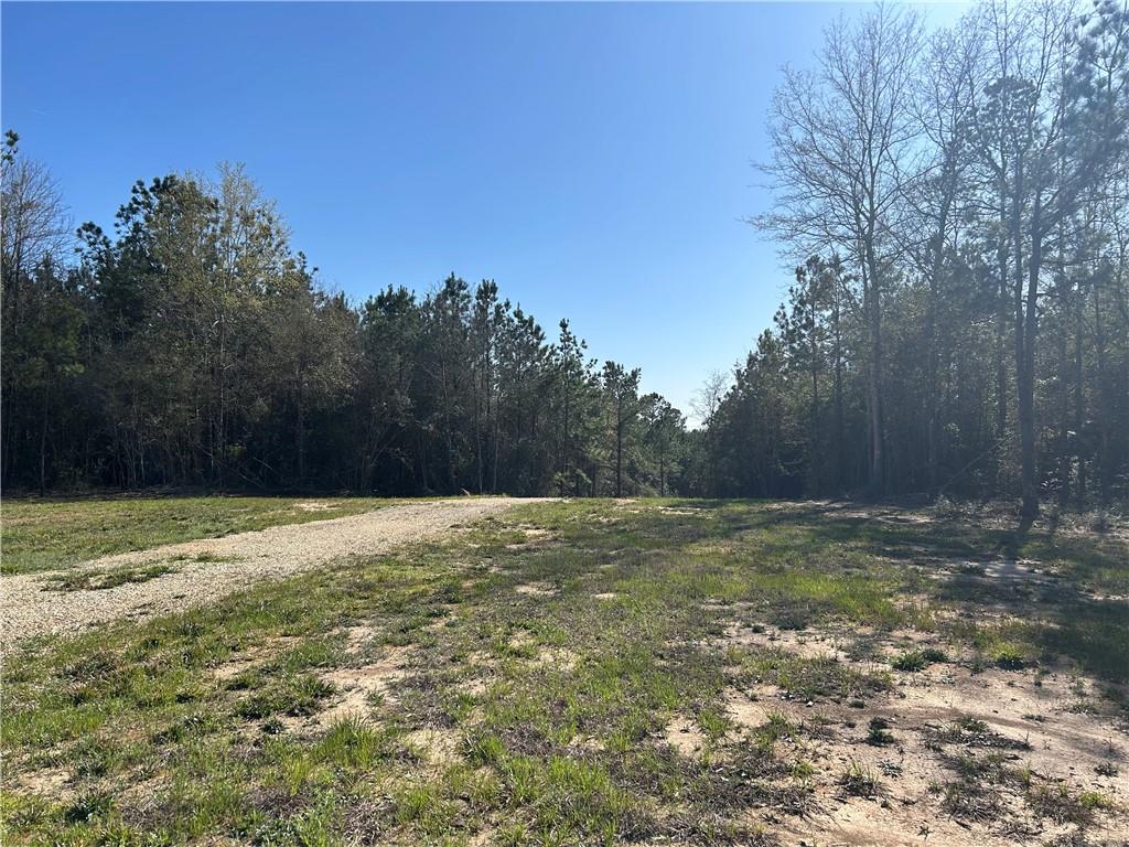 32066 Tom Warner Road Franklinton, LA 70438 - Photo 15 of 21 Gallery Image 15