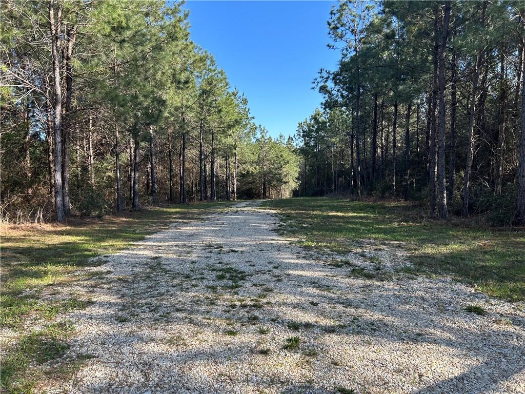 32066 Tom Warner Road Franklinton, LA 70438 - Photo 4 of 21 Gallery Image 4
