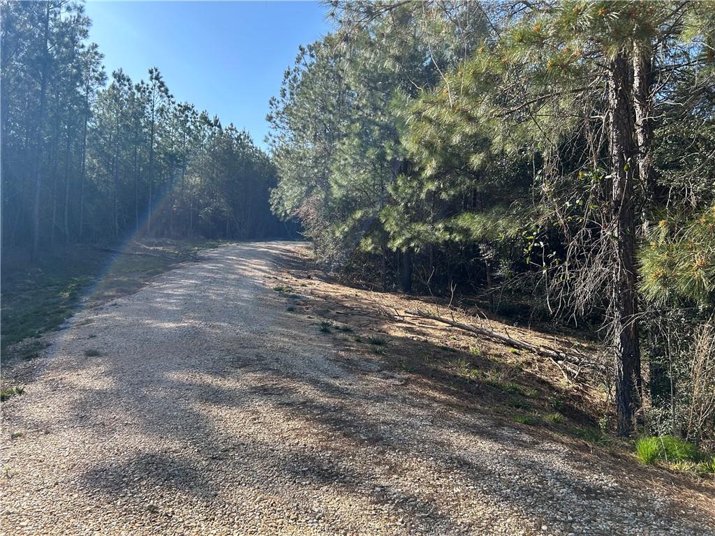 32066 Tom Warner Road Franklinton, LA 70438 - Photo 7 of 21 Gallery Image 7