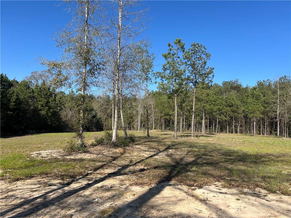 32066 Tom Warner Road Franklinton, LA 70438 - Photo 8 of 21 Gallery Image 8