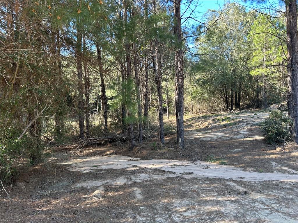 32066 Tom Warner Road Franklinton, LA 70438 - Photo 9 of 21 Gallery Image 9