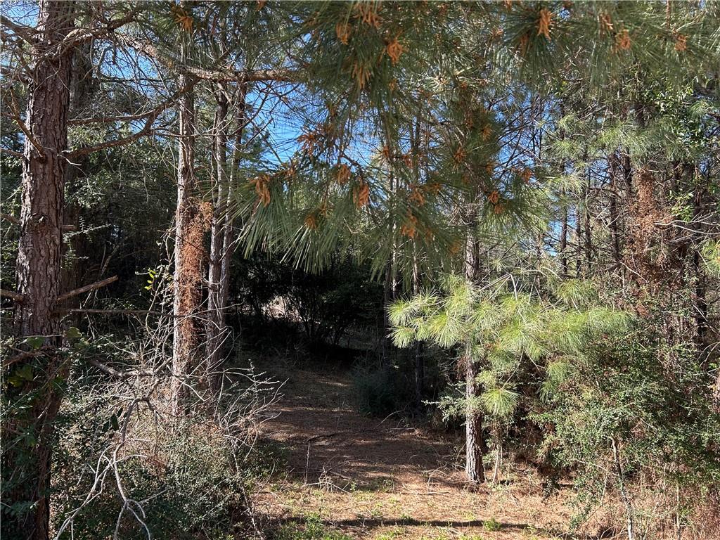 32066 Tom Warner Road Franklinton, LA 70438 - Photo 10 of 21 Gallery Image 10