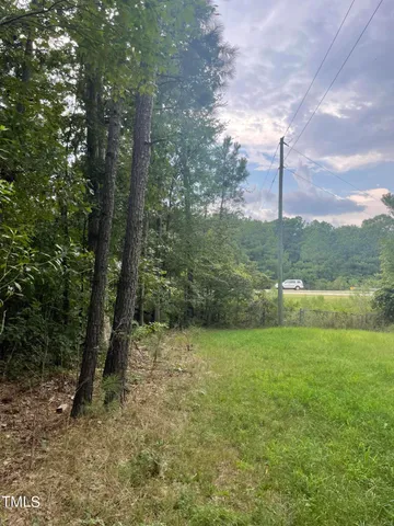 a view of a yard with a fountain