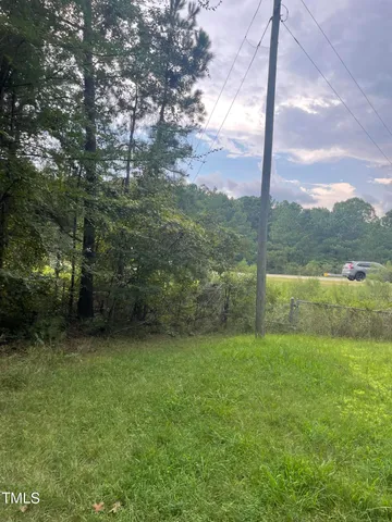 a view of a garden with a tree