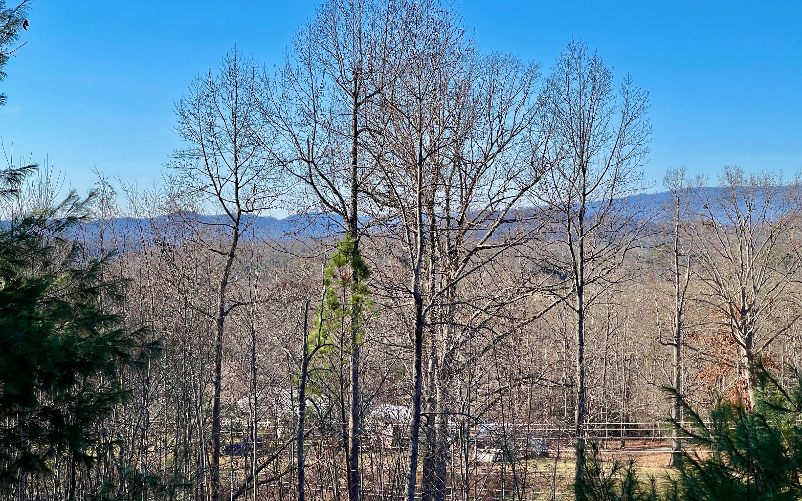 55 Eagles View Road Hayesville, NC 28904 - Photo 61 of 63 Additional View