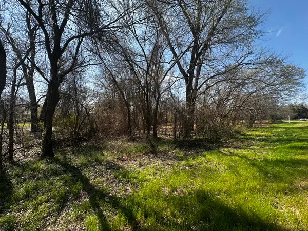 a view of backyard with trees