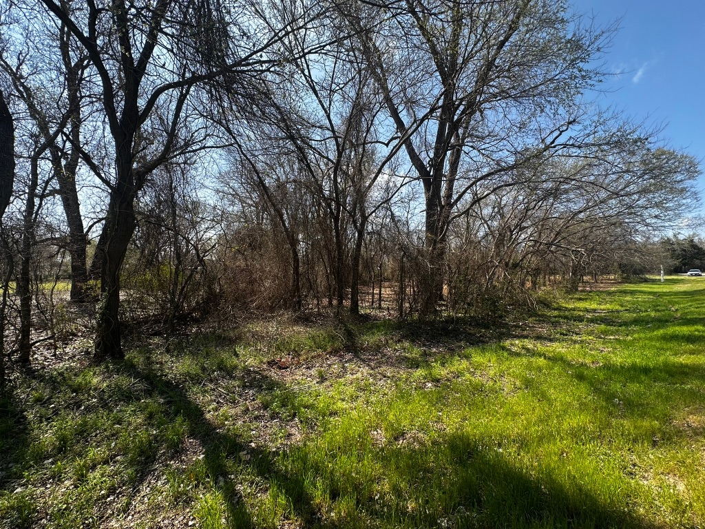 0 East 2nd Street Elgin, TX 78621 - Photo 11 of 24 a view of backyard with trees