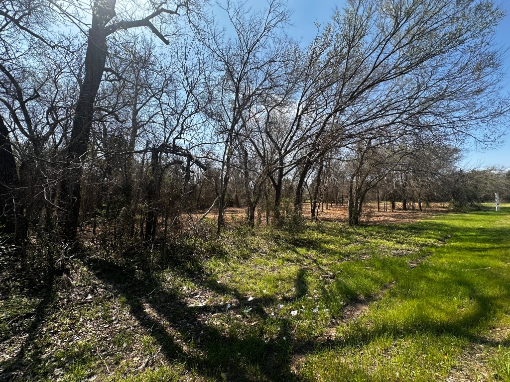 0 East 2nd Street Elgin, TX 78621 - Photo 12 of 24 a view of outdoor space with trees all around