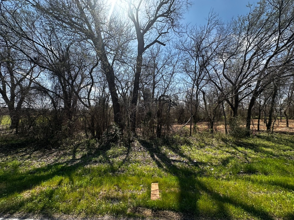 0 East 2nd Street Elgin, TX 78621 - Photo 13 of 24 a view of outdoor space
