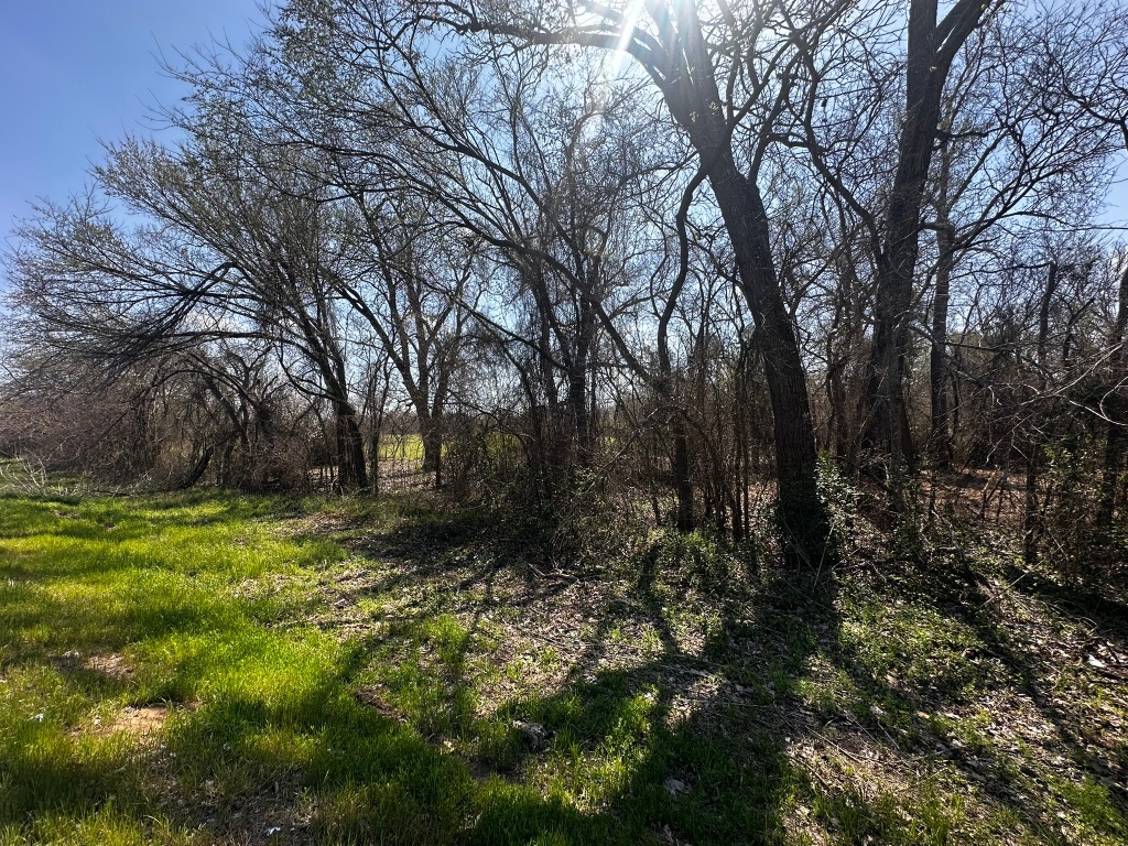 0 East 2nd Street Elgin, TX 78621 - Photo 14 of 24 a view of a forest with trees