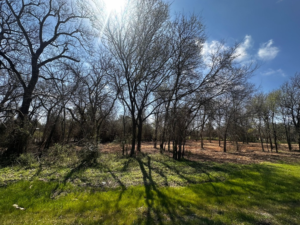 0 East 2nd Street Elgin, TX 78621 - Photo 15 of 24 a view of park with trees