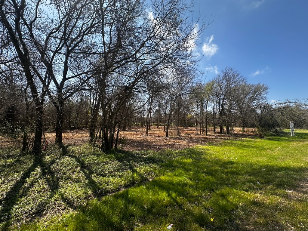 0 East 2nd Street Elgin, TX 78621 - Photo 16 of 24 a backyard of a house with lots of green space