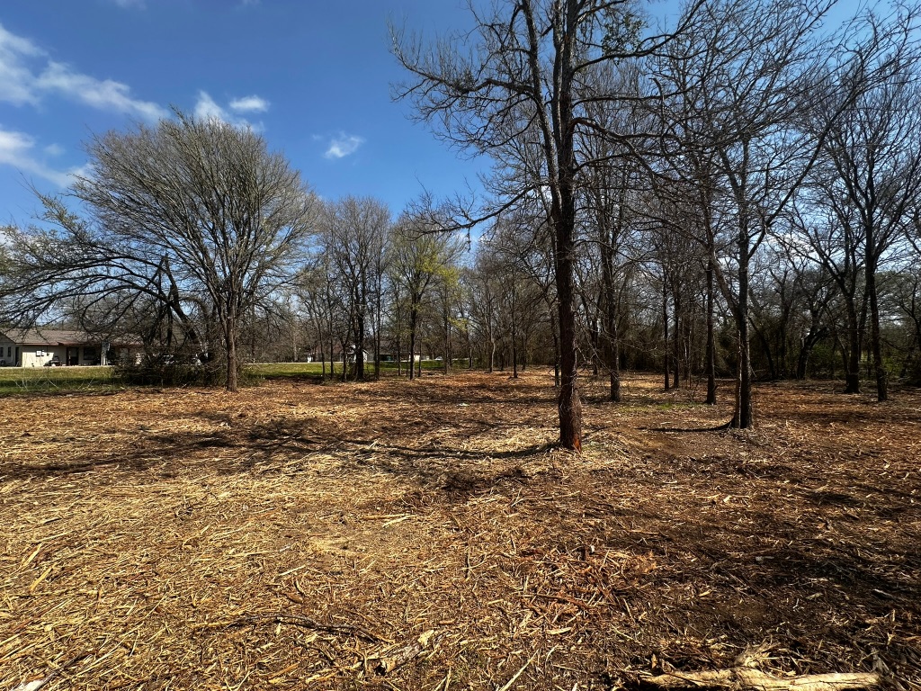 0 East 2nd Street Elgin, TX 78621 - Photo 17 of 24 a view of outdoor space with trees