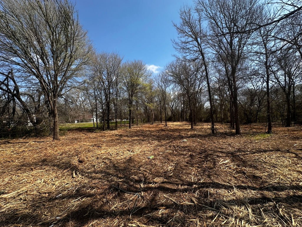 0 East 2nd Street Elgin, TX 78621 - Photo 18 of 24 a view of outdoor space with trees