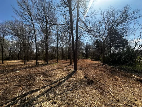 a view of a yard with trees