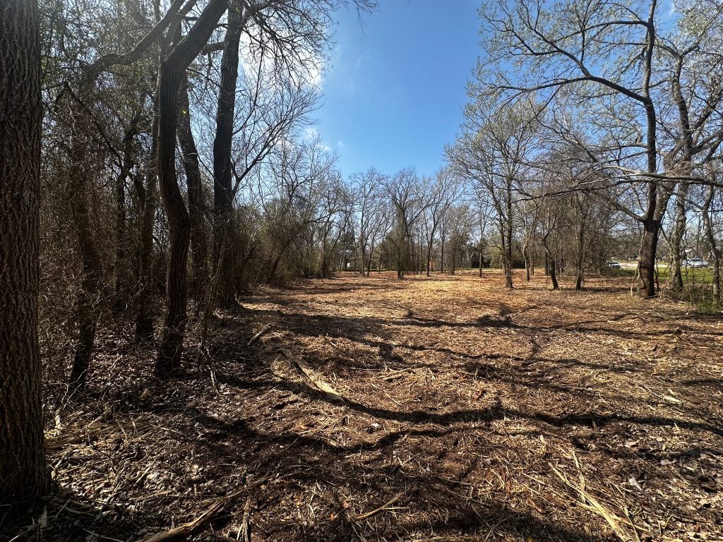 0 East 2nd Street Elgin, TX 78621 - Photo 20 of 24 a view of outdoor space with trees