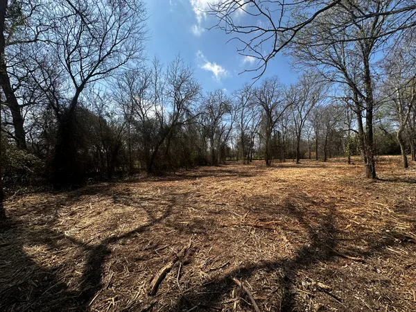 a view of outdoor space with trees