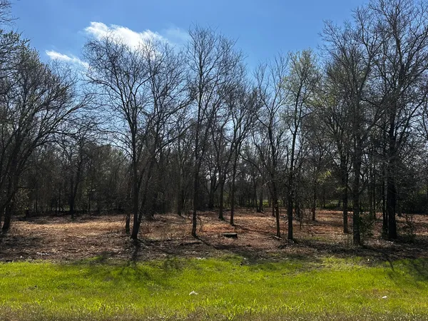 a view of a park with trees in the background