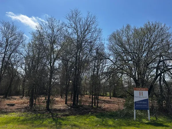 a view of a house with a yard and tree s