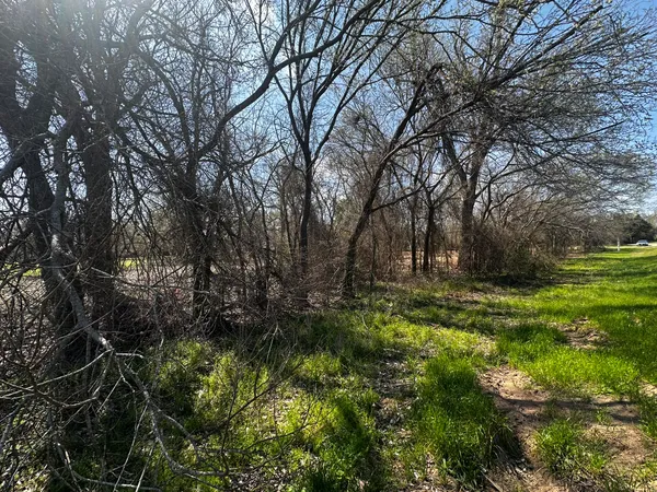 a view of backyard with green space