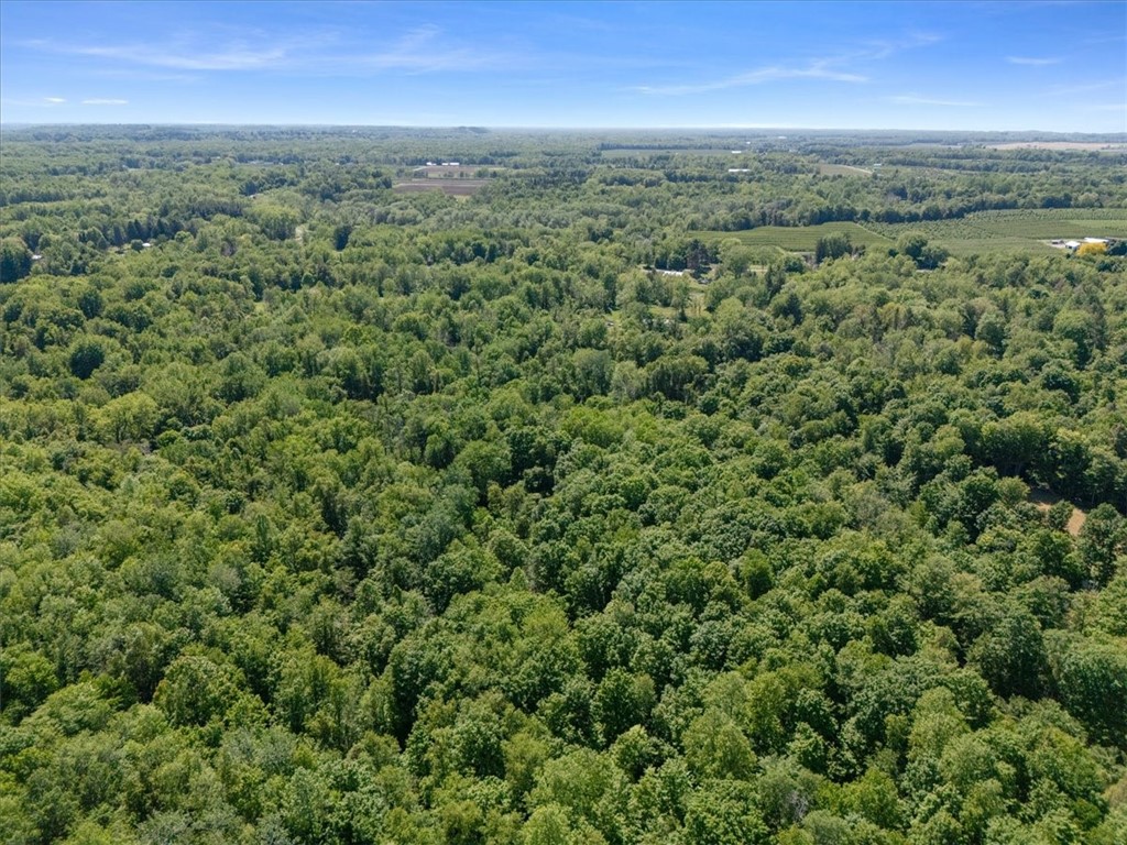 Geneva Road Sodus, NY 14551 - Photo 21 of 34