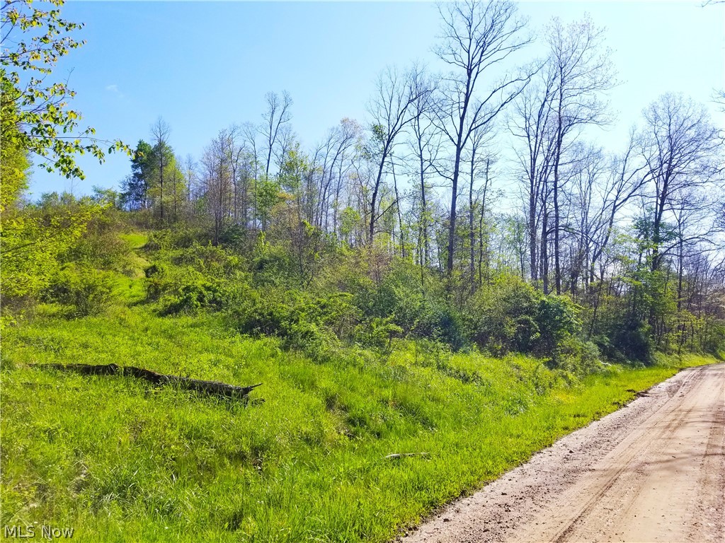Patton Road Jewett, OH 43986 - Photo 41 of 42