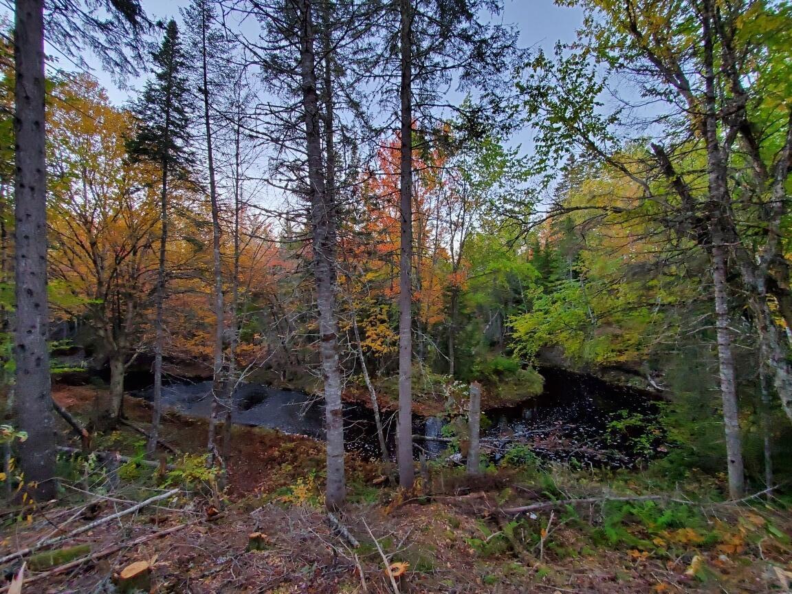 6 B Estabrook Road Amity, ME 04471 - Photo 5 of 12 IMG_20211029_025954