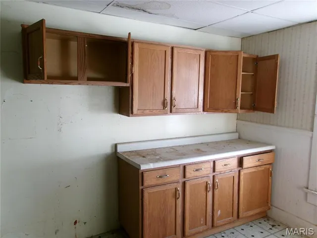 $15,000 | 317 South 5th Street, Greenville, IL 62246