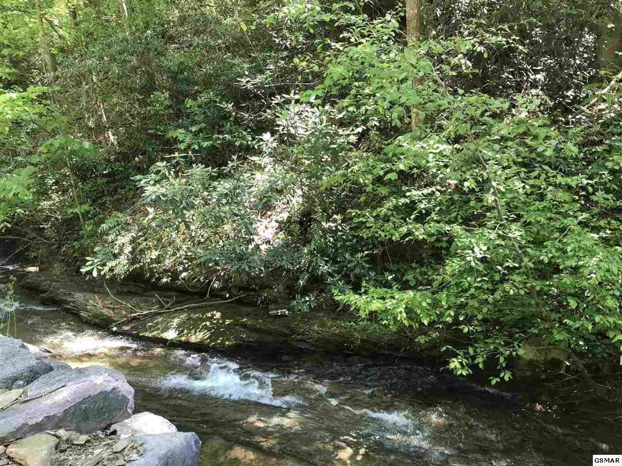 4 Clear Fork Road Sevierville, TN 37862 - Photo 2 of 3