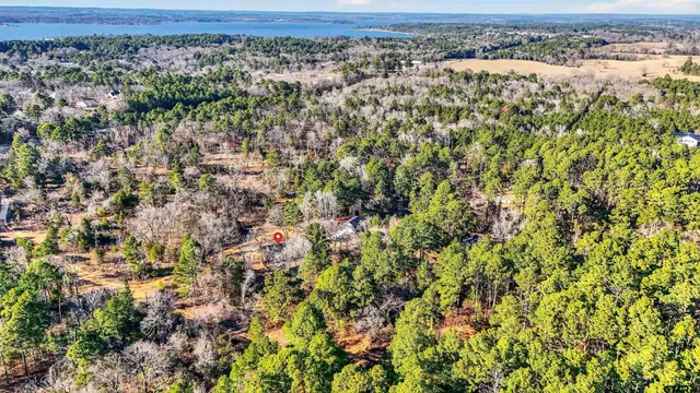an aerial view of residential houses with outdoor space and trees