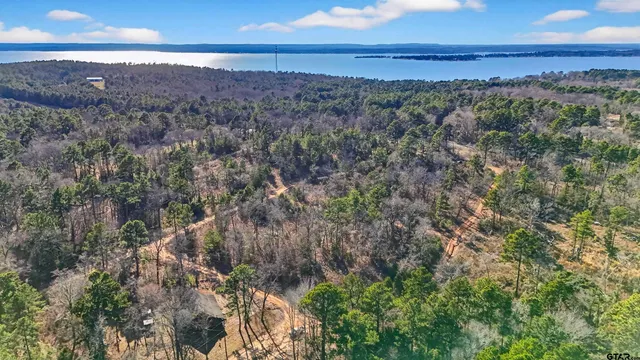 an aerial view of residential house with green space