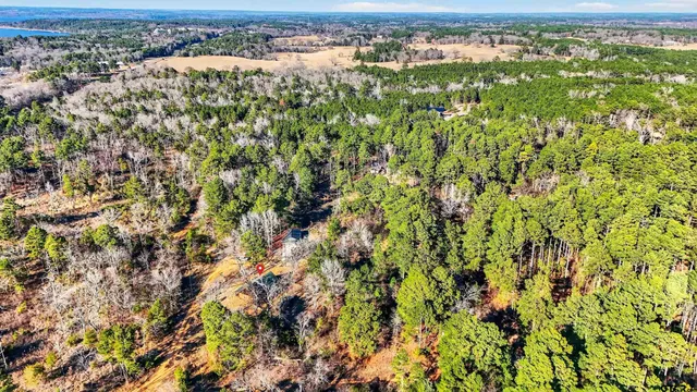 a view of a city with lush green forest