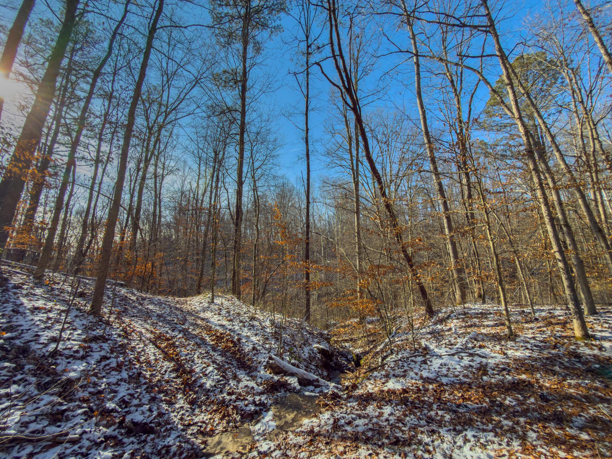 5230 Null Road Coolville, OH 45723 - Photo 10 of 54 Long fork rd.-46