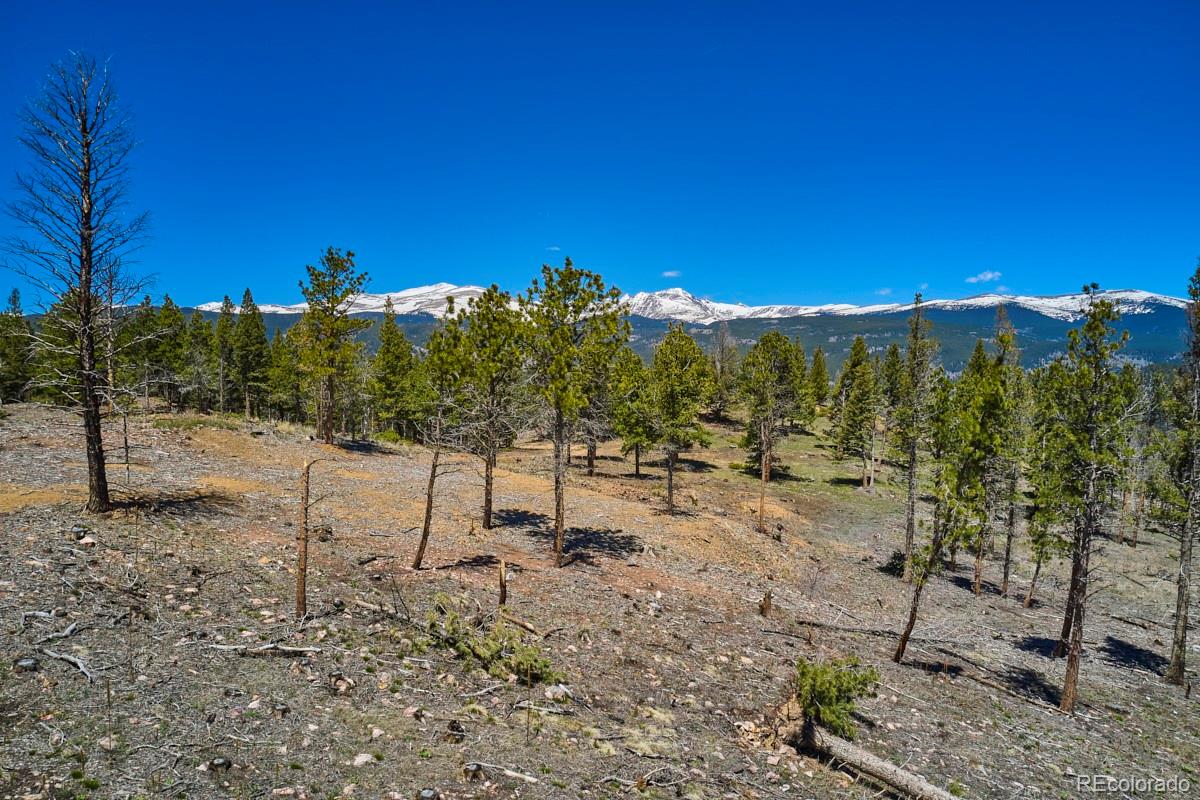 1451 Ridge Road Nederland, CO 80466 - Photo 13 of 32