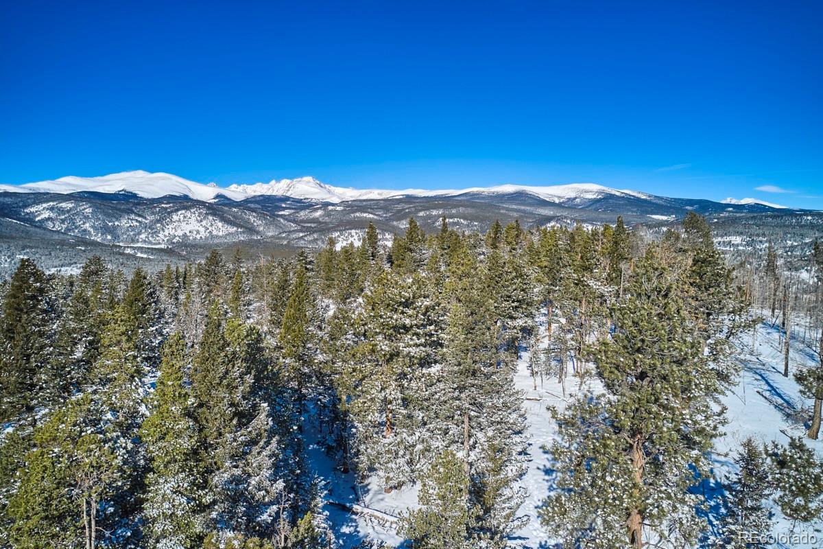 1451 Ridge Road Nederland, CO 80466 - Photo 8 of 32
