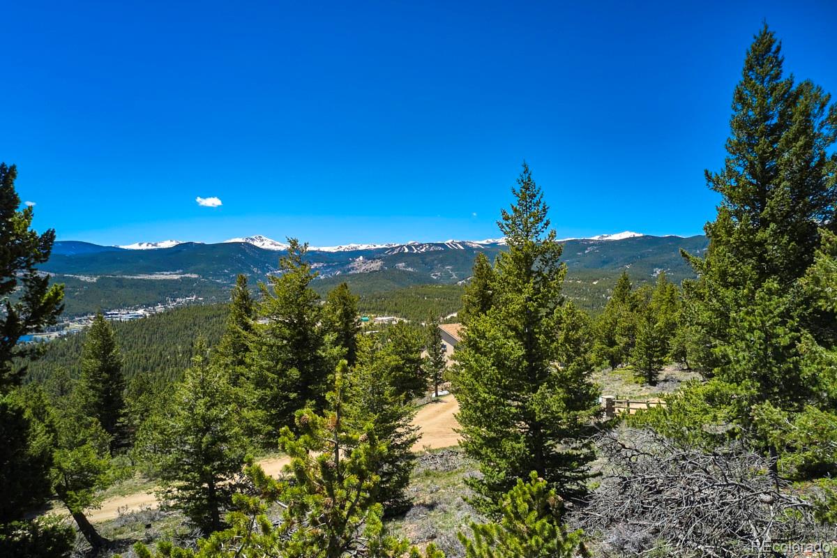1451 Ridge Road Nederland, CO 80466 - Photo 10 of 32