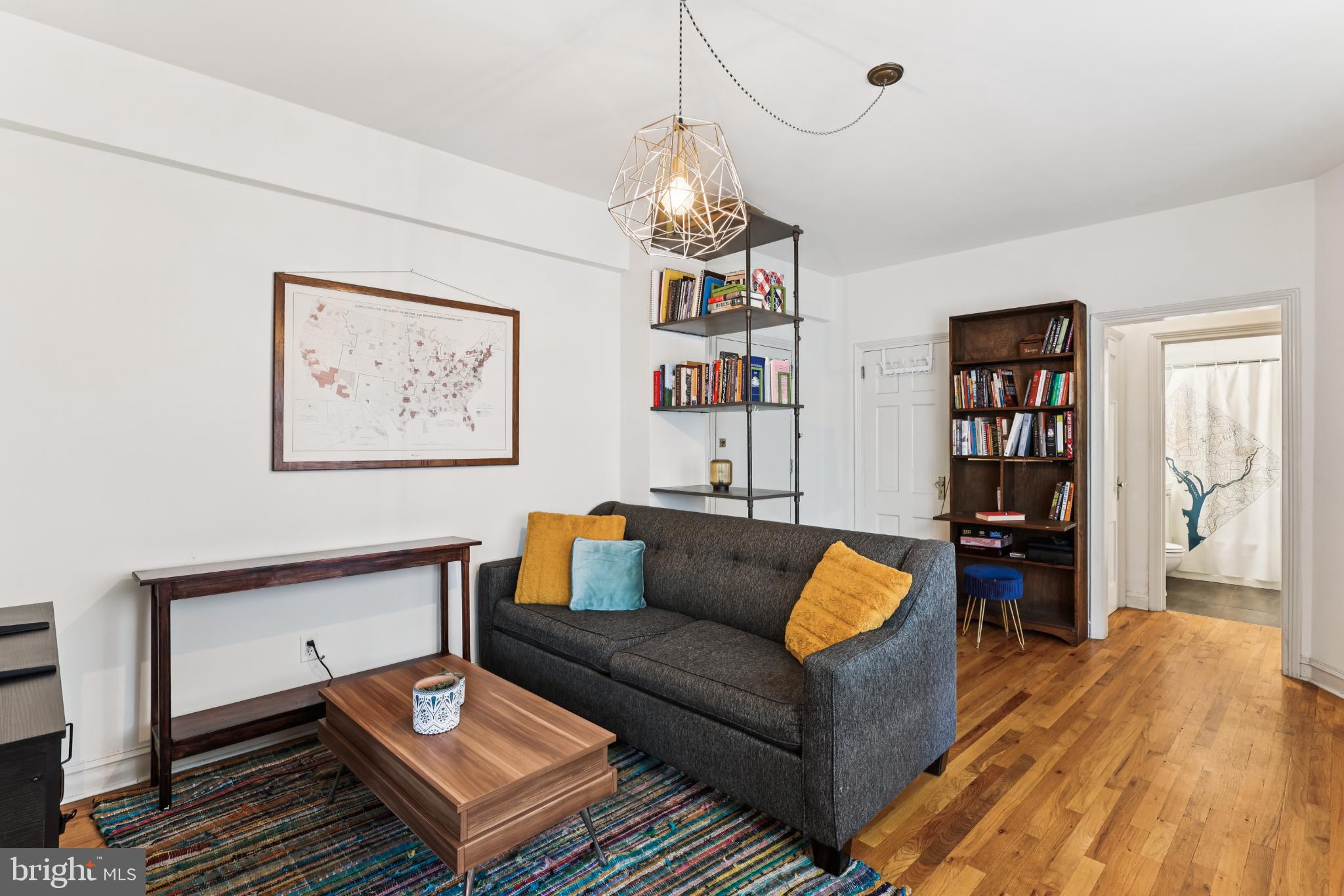 1365 Kennedy Street Northwest, Unit 209 Washington, DC 20011 - Photo 4 of 35 a living room with furniture a rug and a bookshelf