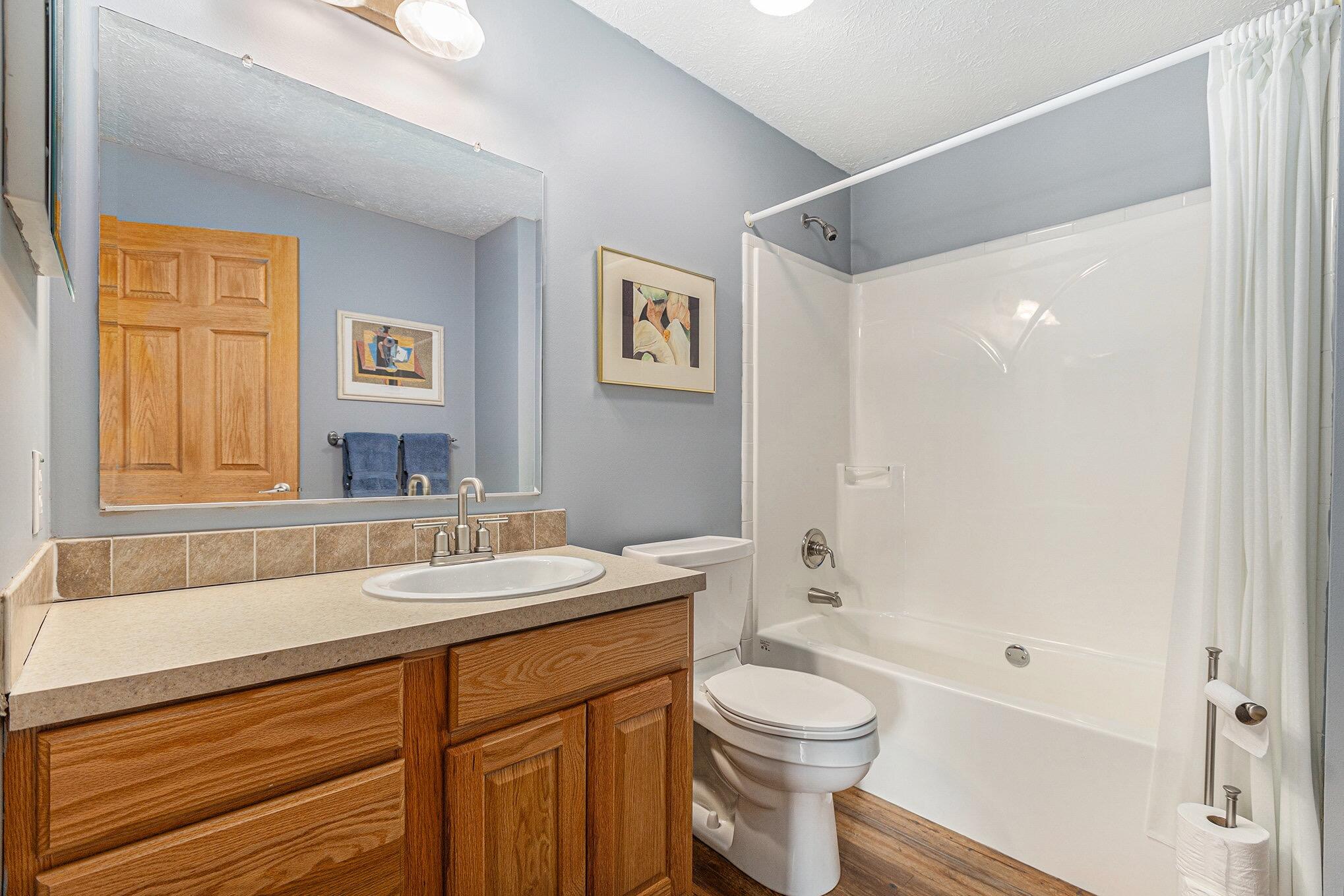 11738 Jewell Road Vanderbilt, MI 49795 - Photo 12 of 45 Family Bathroom on Main-Story