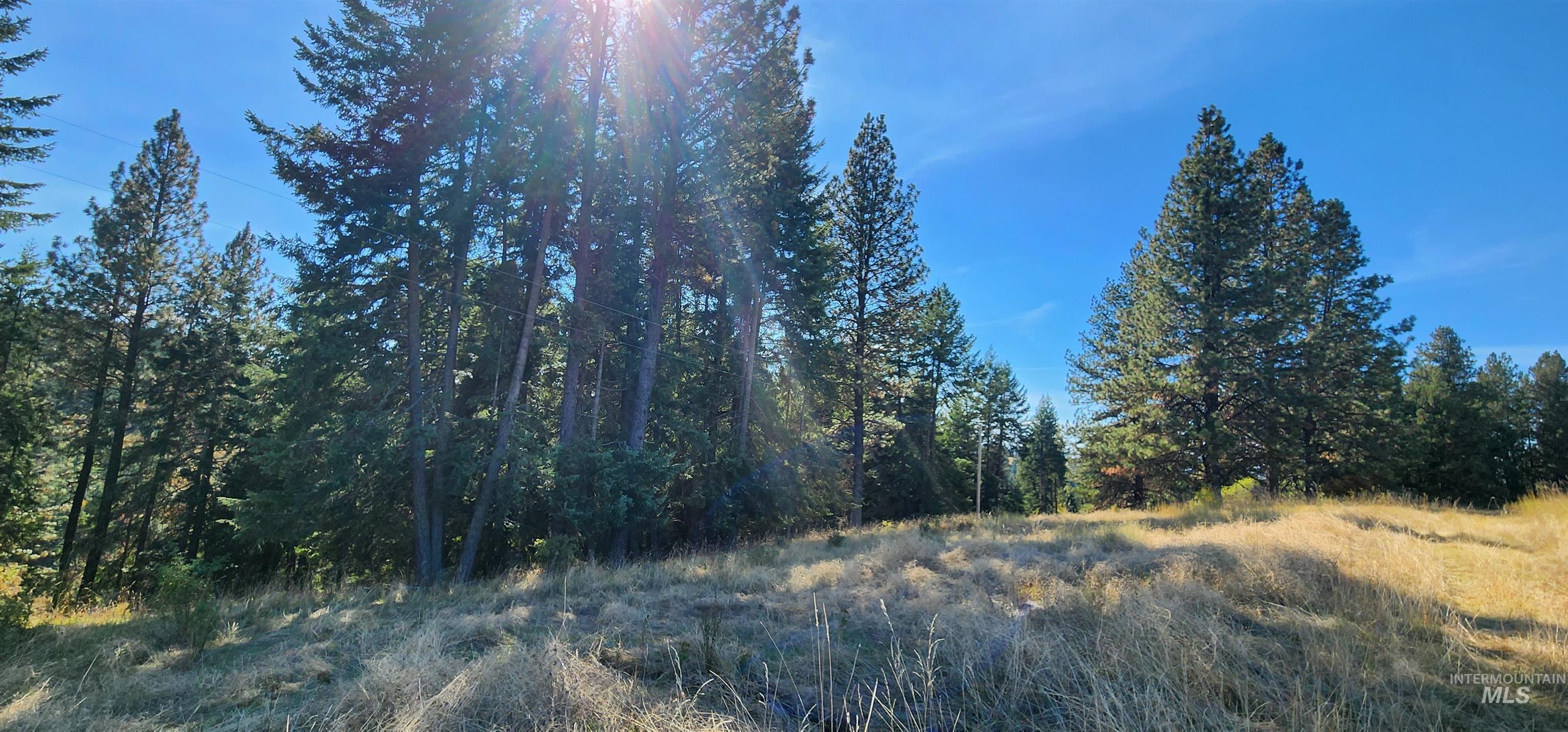 Tbd Red Fir Road Kooskia, ID 83539 - Photo 3 of 34